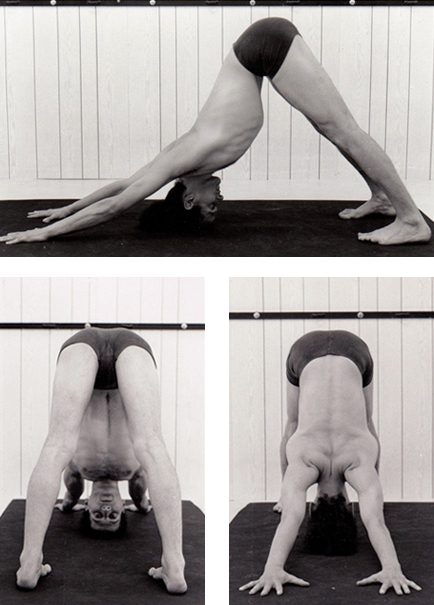 Centre Nataraja - Ecole de Yoga a Nice - Adho Mukha Svanasana