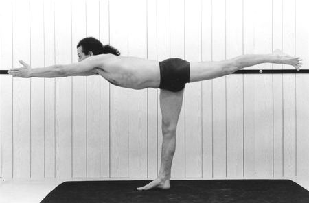 Cours de yoga a Nice - Centre Nataraja - Postures - Virabhadrasana